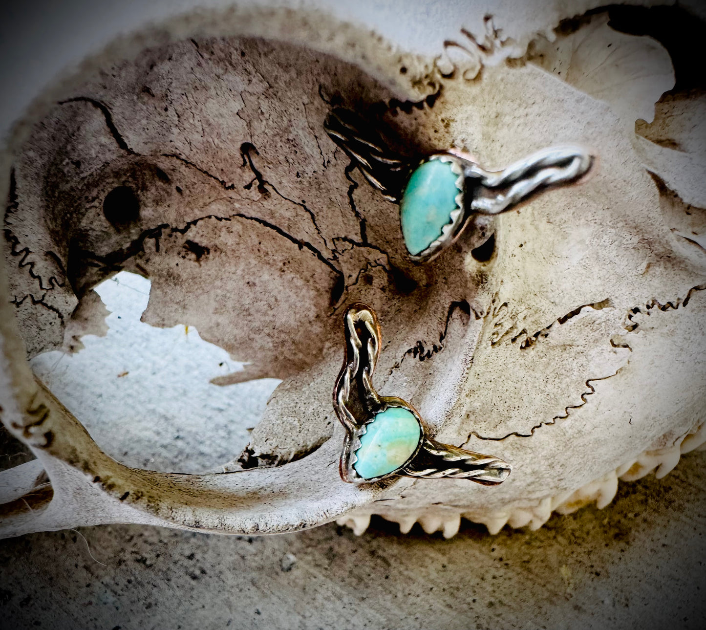 Turquoise Steer Earrings