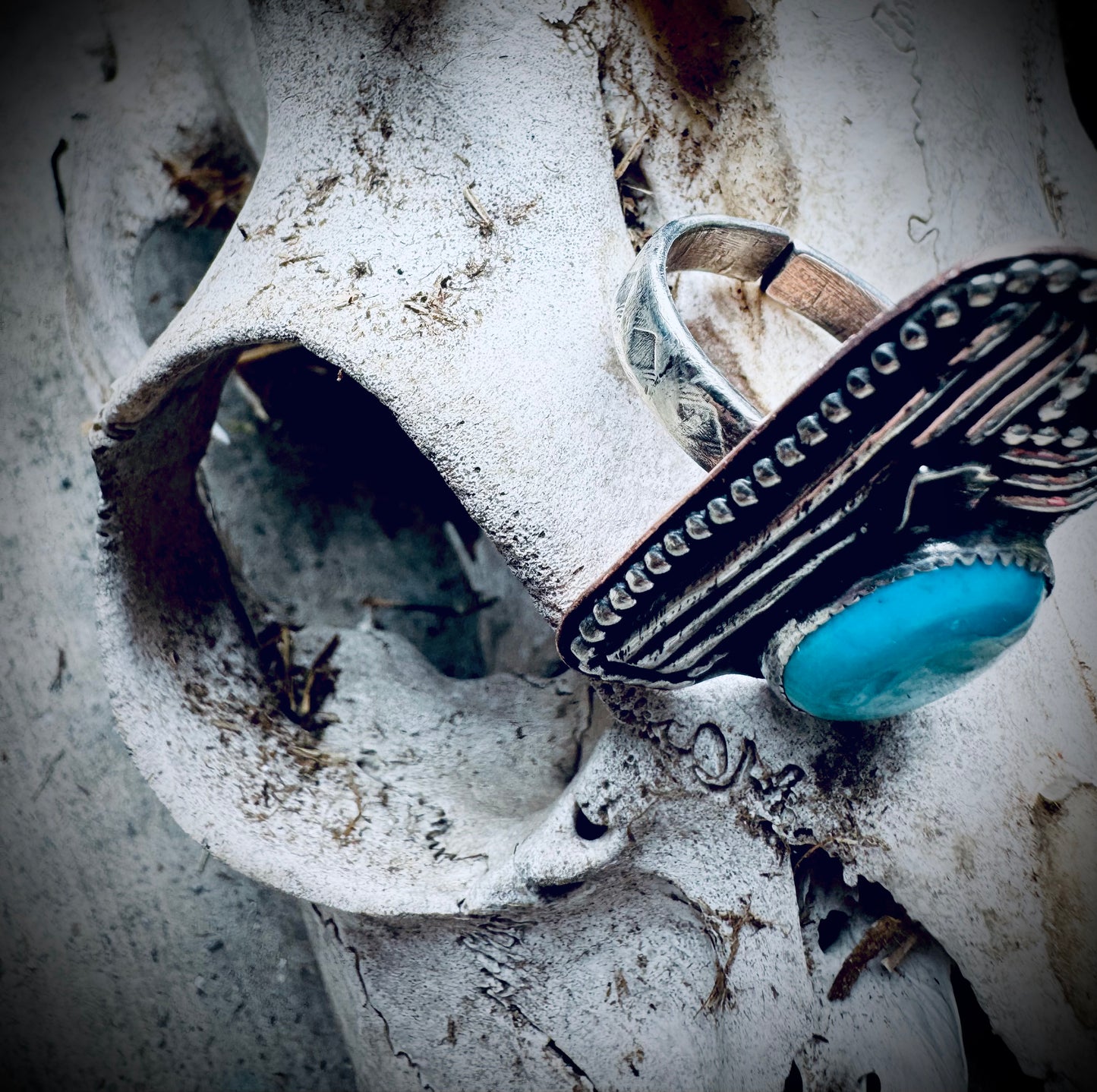 Fox Turquoise Silver Cactus Statement Ring
