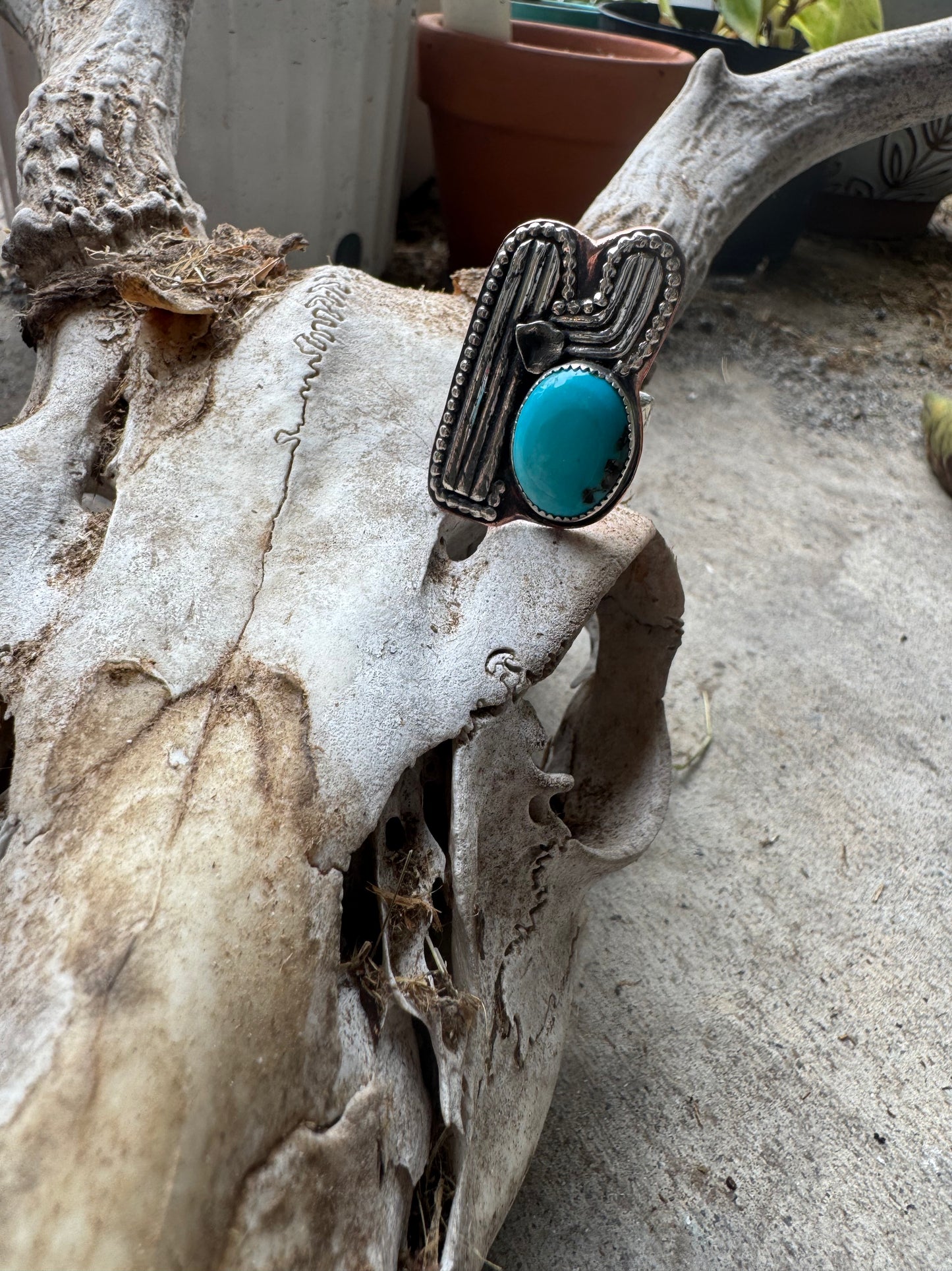 Fox Turquoise Silver Cactus Statement Ring