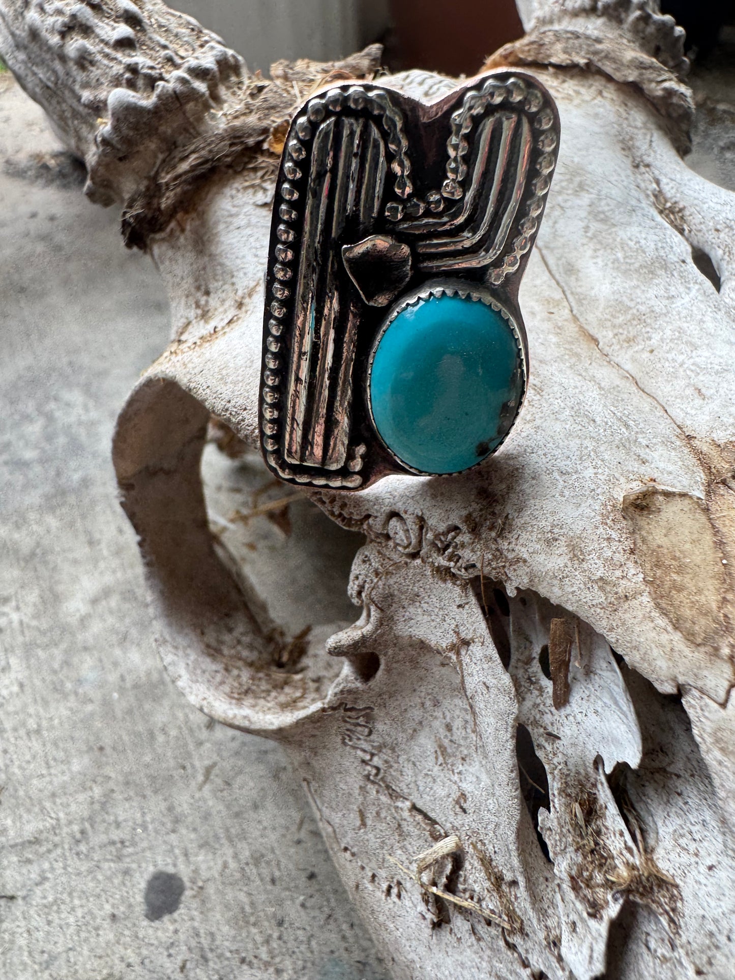 Fox Turquoise Silver Cactus Statement Ring