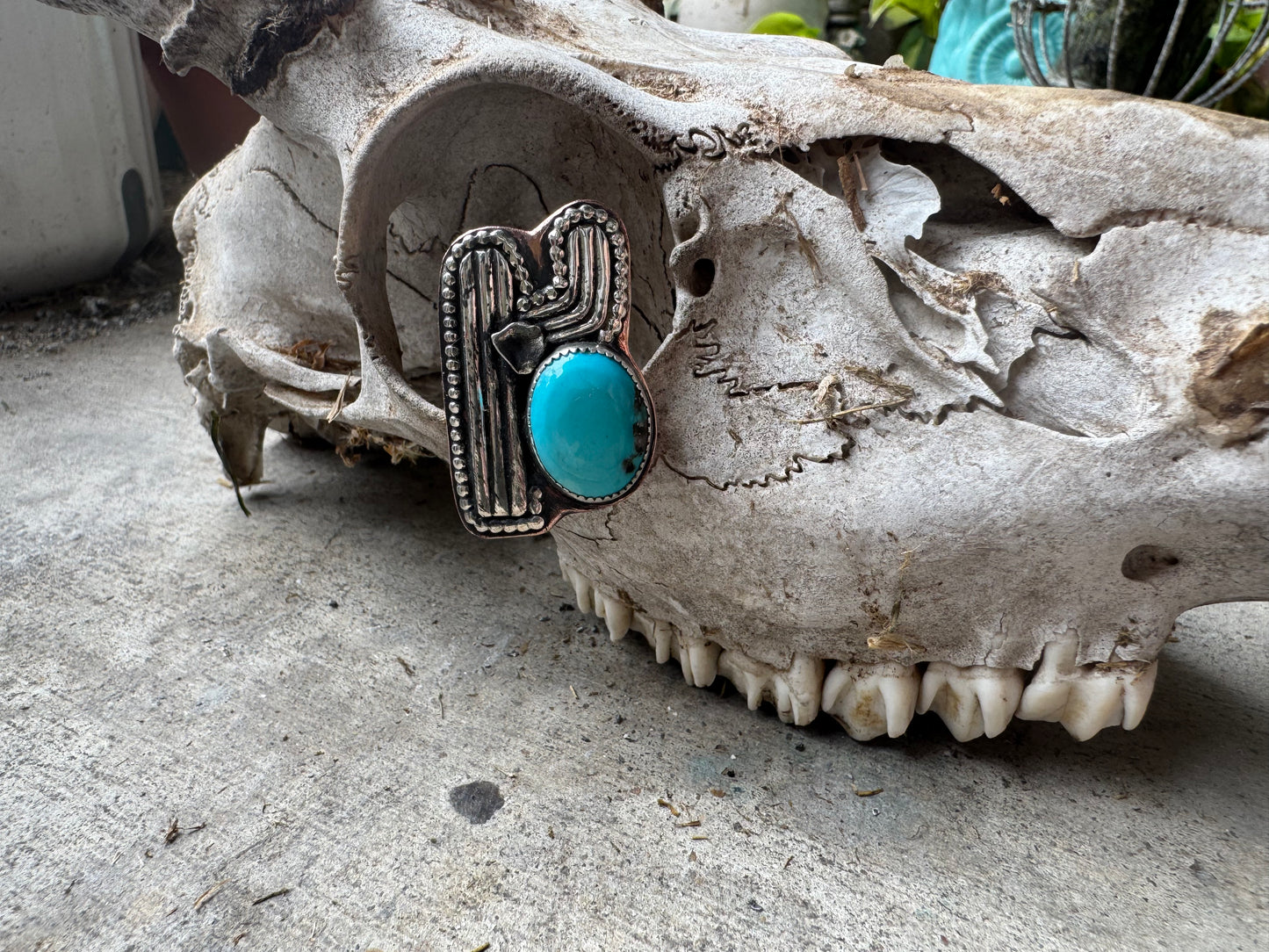 Fox Turquoise Silver Cactus Statement Ring